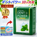假牙清潔劑｜デントパワー 入れ歯洗浄剤 10ヵ月用