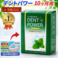＼楽天1位／ デントパワー 入れ歯洗浄剤 10ヵ月用 送料無料