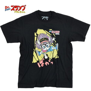 アラレちゃんの通販 価格比較 価格 Com
