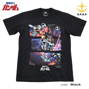 GUNDAM �K���_�� T�V���c �����Y �@����m�K���_�� ���� �K���L���m�� �K���^���N RX-78-2 �O�b�Y �W�I���R �n���A�M�R EFSF �A�������C ���r���X�[�c �t�A�� �C���|�[�g �A�j�� OTAKU �X�g���[�g �R