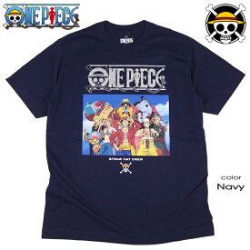 ONE PIECE Tシャツ ワンピース ルフィ サンジ ゾロ ナミ ロビン チョッパー ブルック フランキー ウソップ メンズ 半袖 アニメ グッズ レディース 麦わら海賊団 ドクロ ラメ 海外モデル 誕生日プレゼント ギフト ペアルック 日本未発売インポート商品【メール便送料無料】