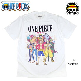 ONE PIECE Tシャツ ワンピース ルフィ サンジ ゾロ ナミ ロビン チョッパー ブルック フランキー ウソップ メンズ アニメ グッズ レディース 麦わら海賊団 ドクロ フロッキー 海外モデル 父の日 誕生日プレゼント ペアルック 日本未発売インポート商品【メール便送料無料】