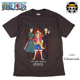 ONE PIECE Tシャツ ワンピース ルフィ サンジ ゾロ ナミ ロビン チョッパー ブルック フランキー ウソップ メンズ 半袖 アニメ グッズ レディース 麦わら海賊団 ドクロ ラメ 海外モデル 誕生日プレゼント ギフト ペアルック 日本未発売インポート商品【メール便送料無料】