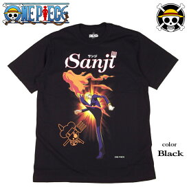 ONE PIECE Tシャツ ワンピース ルフィ サンジ ゾロ ナミ ロビン チョッパー ブルック フランキー ウソップ メンズ アニメ グッズ レディース 麦わら海賊団 ドクロ 発泡プリント 海外モデル 父の日 誕生日プレゼント ペアルック 日本未発売インポート商品【メール便送料無料】