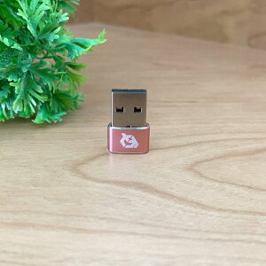 USB Type C P[u  USB[q iType-Aj ɕϊ A_v^[ x1 ysNzӊO   ֗ObYł