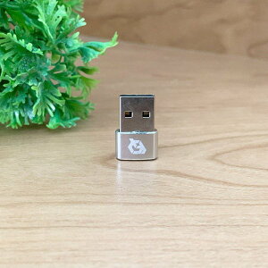 USB Type C P[u  USB[q iType-Aj ɕϊ A_v^[ x1 yVo[zӊOƏ ƕ֗ObYł 