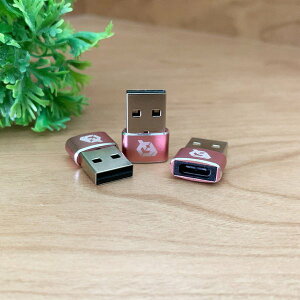 USB Type C P[u  USB[q iType-Aj ɕϊ A_v^[ x3 ysNzӊO   ֗ObYł