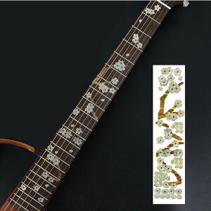 M^[ w tbg {[h CC XebJ[yz   a  f:ybg tTCY :c 25Z`× 5.5Z`