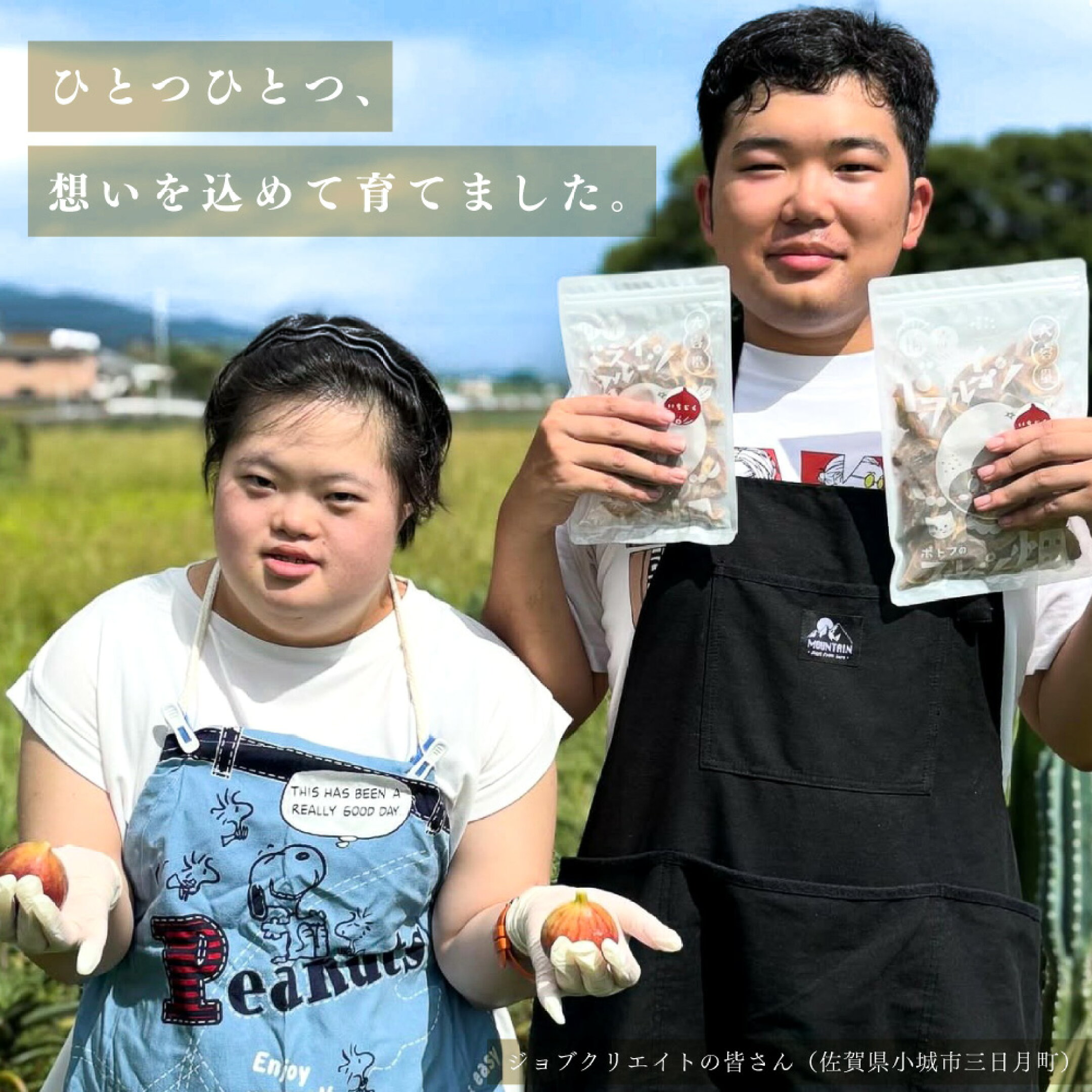 私たちが大切に育て、想いを込めてドライいちじくを作りました