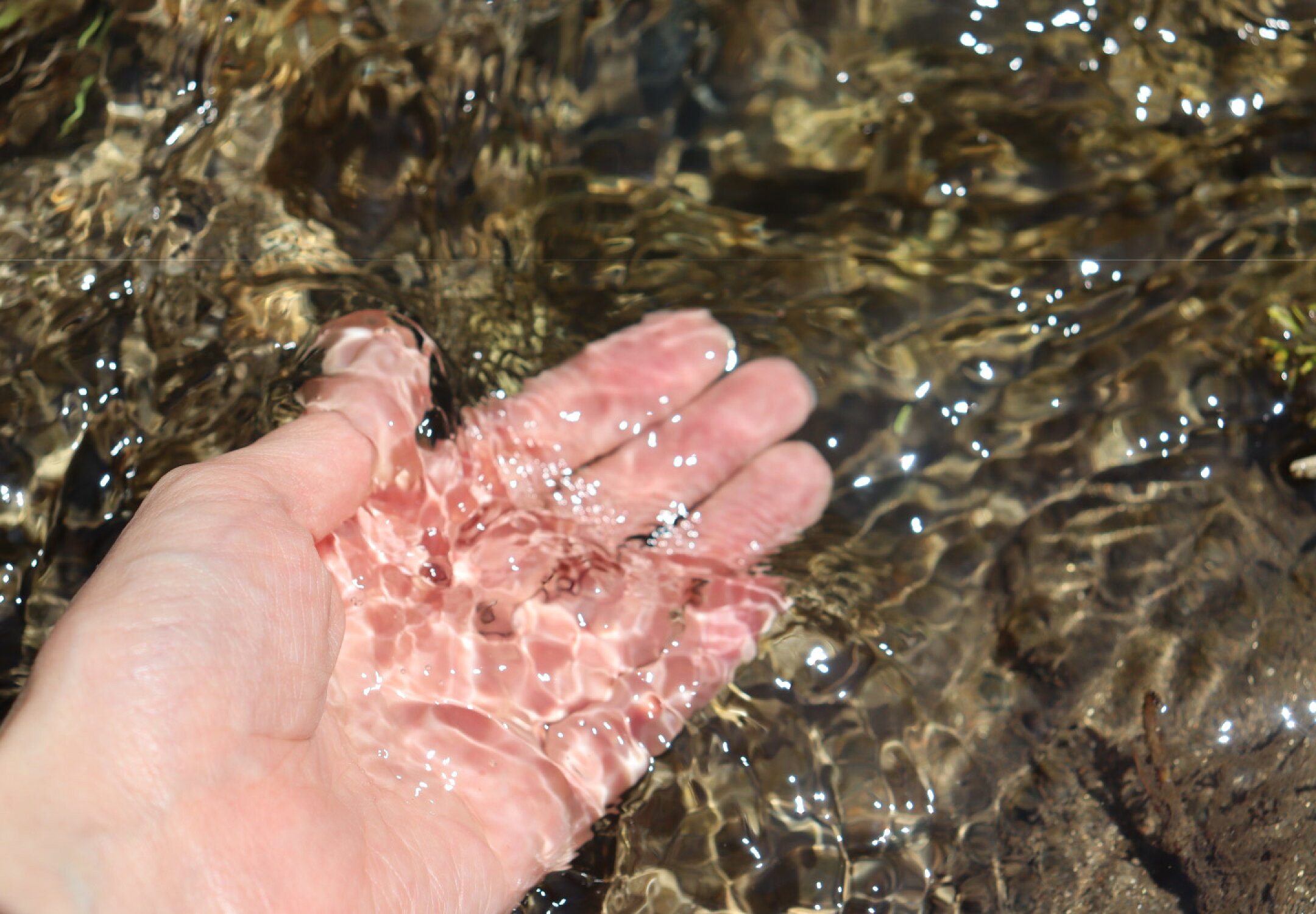 山の恵み、田んぼに引き入れる水がきれい