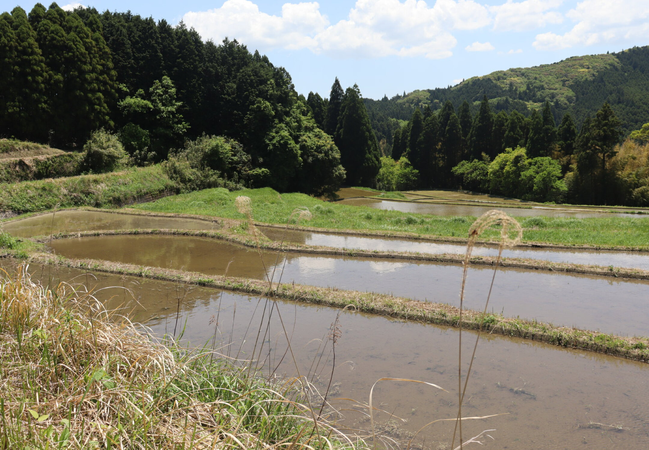 5月14日、田植え前の棚田