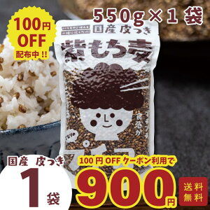 _炾ɂƑ܏܁I100~OFF^ Y    v`Ri550g×1܁jX^hpbN _CV` AgVAj  H@ 