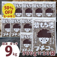 ＼スーパーSALE 半額 ／ 国産 皮つき 紫 もち麦 プチコさん 9kg （900gx10袋）送料無料 ダイシモチ アン…