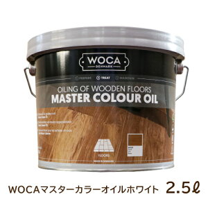 t[OeiX u WOCA}X^[J[ICzCg 2.5bg vC̖؃eiX