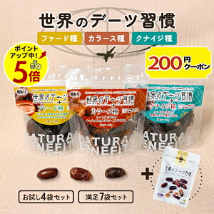 f[c Ẽf[cK 130gs sgp GI X[p[t[h t@[h J[X NiCW TC[ Y F icV S H@ 킠 t