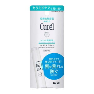 ���������@Curel�i�L�������j ���b�v�P�A�N���[�� 4.2g�@�ԉ��@�q�����@���b�v