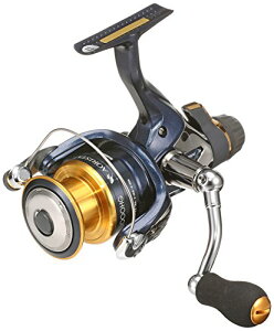 �V�}�m(SHIMANO) �X�s�j���O���[�� 13 �A�I���X�^ BB C3000HG ���G�� �A�I���C�J