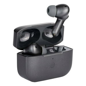 �����d�q�H�� ���S���C�����X�C���z�� Permier AIR PRO PR-BS80K-AR Tuned by HIFIMAN �A�N�e�B�u�m�C�Y
