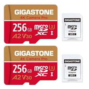 �y5�N�f�[�^�����E���������ۏ؁zGIGASTONE �}�C�N��sd�J�[�h 256GB 2�Z�b�g 4K Camera Pro microSDXC