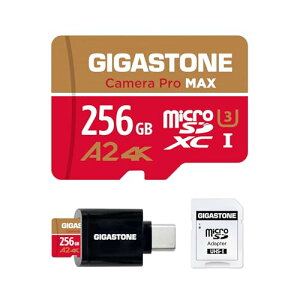�y5�N�f�[�^�����E���������ۏ؁zGIGASTONE �}�C�N��sd�J�[�h 256GB Type C�J�[�h���[�_�[�t�� Camera Pro Max
