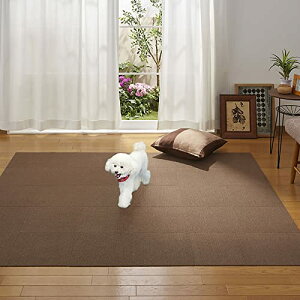 �T���R�[�O�t(Sanko Mitsuba)�y���{�� ���� ���L �􂦂�z�T���R�[ ����Ȃ� �^�C���J�[�y�b�g �y�b�g�p 30×30cm �u���E