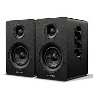 Sanyun SW208 3 �A�N�e�B�uBluetooth5.0�u�b�N�V�F���t�X�s�[�J�[? 60W�J�[�{���t�@�C�o�[�X�s�[�J�[���j�b�g?����24