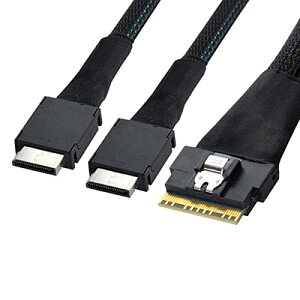Cablecc PCI-E �E���g���|�[�g �X�������C�� SAS �X���� 4.0 SFF-8654 8i 74pin to Dual Oculi