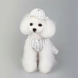 z hbOEFA Xqt i  L ̕ ybg  XJ[g XgCv OJ XqZbg ̎q  ^ ^ }`[Y ` gCv[h  