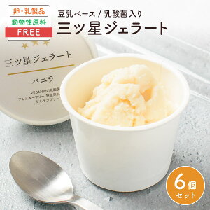 三ツ星ジェラート【バニラ 6個入】アイス 詰め合わせ / 無添加 卵 乳 不使用 アレルギー ベジタリアン ヴィーガン ハラル グルテンフリー オーガニック 豆乳 / ギフト 贈答 お中元 プレゼント