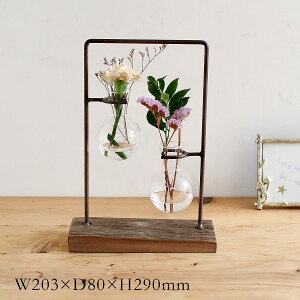 ACAKXnMO 2{g | ACA / KXx[X / fBXvC / AeB[N / Ԃт / ԕr / Ԋ / t[x[X / S / X / CeA / SOW / \EyE 