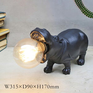 fRAj}CgyJoz | Cg / v /  / Ɩ / dr / R[hX / AeB[N /  / fReBu / CeA / X / Y / SOW / \EyE ͂sz