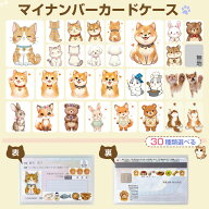 【当店限定】マイナンバーカードケース 目隠し マイナ保険証 顔隠し マイナケーズ カードケース 安心 安…