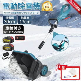 最短即日出荷！【2025最新補助輪版】除雪機 充電式 家庭用 電動除雪機 電動 スコップ コードレス 雪かき 除雪幅40cm 除雪高17cm 投雪距離8M 組立簡単 折りたたみ可能 延長可能 電動除雪スコップ 小型除雪機 軽量 片手 除雪用品 雪かき機 駐車場 学校 庭 PSE認証