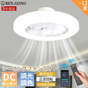 y2025VǔŁzV[Ot@Cg LED  DC[^[ V[Ot@ t@tƖ V[OCg ^ Cz t]@\ 6iKʒ F APPΉ 12 10