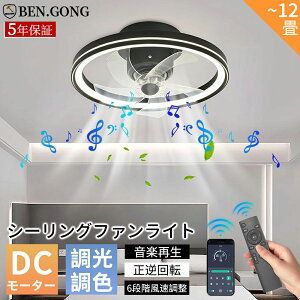 y2025V5Nۏ؁zV[Ot@Cg  k V[Ot@ Q U LED @ DC[^[ t@tƖ 8 10 12 V[OCg yĐ APPΉ F