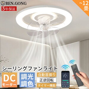 y2025V5Nۏ؁zV[Ot@Cg U  k V[Ot@ Q LED @ DC[^[ t@tƖ 8 10 12 V[OCg t]@\ APPΉ 