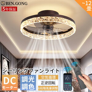 y2025V5Nۏ؁zV[Ot@Cg LED Ɩ  k V[Ot@ Q @ DC[^[ t@tƖ F 6iKʒ É y 8 10 12 V[O