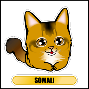 車 シール ステッカー ソマリ フェイスステッカー 転写シール 猫グッズ ペット 車用 キズ隠し 傷隠し【名入れ対象外】