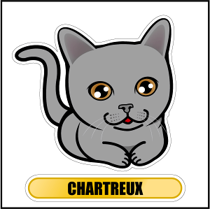  V[ XebJ[ Vg[ tFCXXebJ[ ]ʃV[ LObY ybg ԗp LYB ByΏۊOz