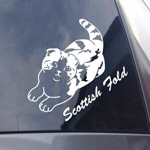 L G  XReBbVtH[h ALVGbgXebJ[ 30cm LXebJ[ ԃXebJ[ ]ʃV[ybg ԗp LYB ByΏۊOz