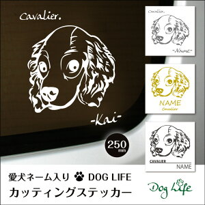   XebJ[    LoA DOG LIFEVGbgXebJ[ 25cm XebJ[ ԃXebJ[ ]ʃV[ Mtg v[g ybg ԗp LYB B