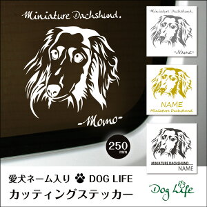 車 ステッカー 犬 名入れ 無料 ミニチュアダックスフント DOGLIFEシルエットステッカー 25cm 犬ステッカー 車ステッカー 転写シール ギフト プレゼント ペット 車用 キズ隠し 傷隠し