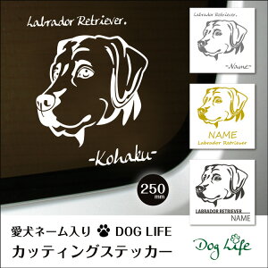  XebJ[    uh[go[ DOGLIFEVGbgXebJ[ 25cm XebJ[ ԃXebJ[ ]ʃV[ Mtg v[g ybg ԗp LYB B