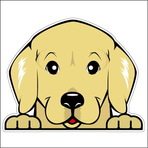 車 シール ステッカー 耐水 ゴールデンレトリバー フェイスステッカーBIG ペット 犬 転写シール ペット 車用 キズ隠し 傷隠し【名入れ対象外】