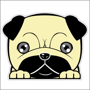 車 シール ステッカー 耐水 パグフェイスステッカーBIG ペット 犬 転写シール ペット 車用 キズ隠し 傷隠し【名入れ対象外】