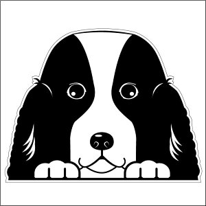 車 シール ステッカー 耐水 イングリッシュコッカー フェイスステッカーBIG 犬 転写シール ペット イングリッシュ・コッカー・スパニエル 車用 キズ隠し 傷隠し【名入れ対象外】