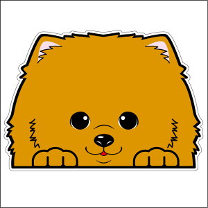 車 シール ステッカー 耐水 ポメラニアン フェイスステッカーBIG ペット 犬 転写シール ペット 車用 キズ隠し 傷隠し【名入れ対象外】