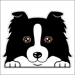 車 シール ステッカー 耐水 ボーダーコリー フェイスステッカーBIG ペット 犬 転写シール ペット 車用 キズ隠し 傷隠し【名入れ対象外】