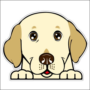車シール ステッカー 耐水 ラブラドールレトリバー フェイスステッカーBIG ペット 犬 転写シール ペット 車用 キズ隠し 傷隠し【名入れ対象外】