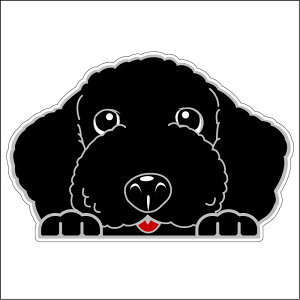 車 シール ステッカー 耐水 プードル 黒 フェイスステッカーBIG ペット 犬 転写シール ペット 車用 キズ隠し 傷隠し【名入れ対象外】